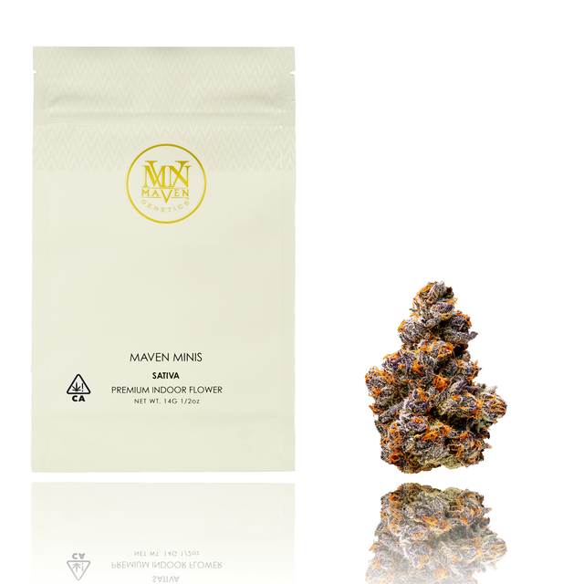 Orange Sapphire Maven Genetics