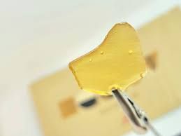 Sunset Octane Equity Extracts