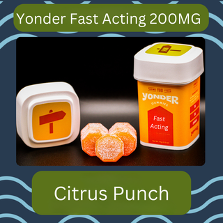 Fast Acting Gummies | Citrus Punch Yonder