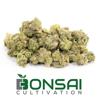 Runtz Banger Bonsai