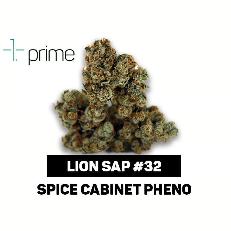 Prime Wellness — Lion Sap #32
