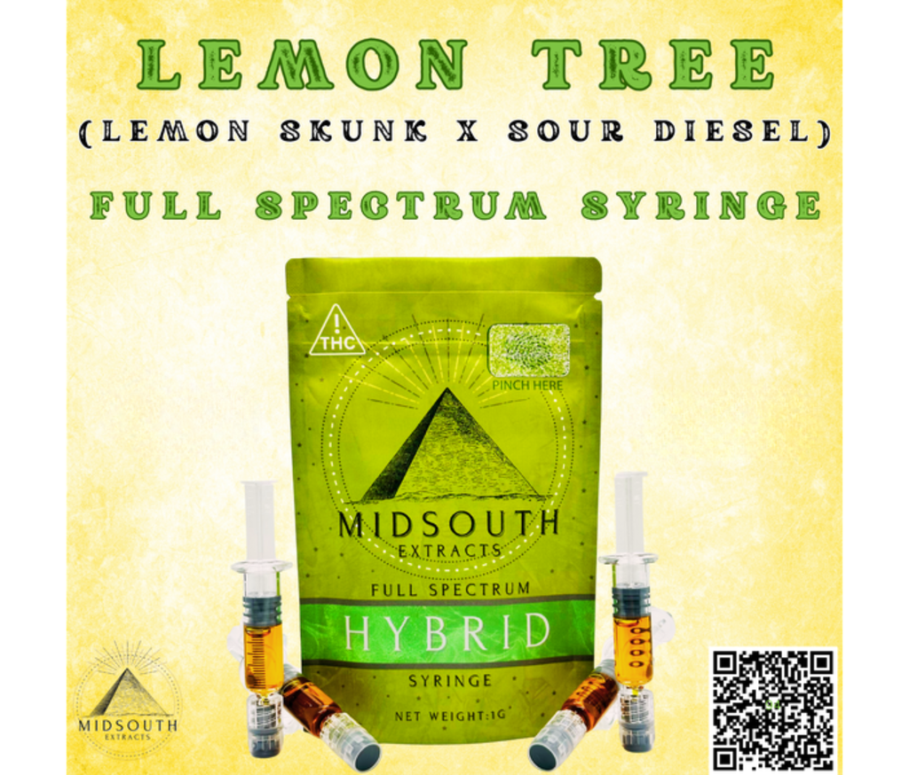 Syringe | Lemon Tree |