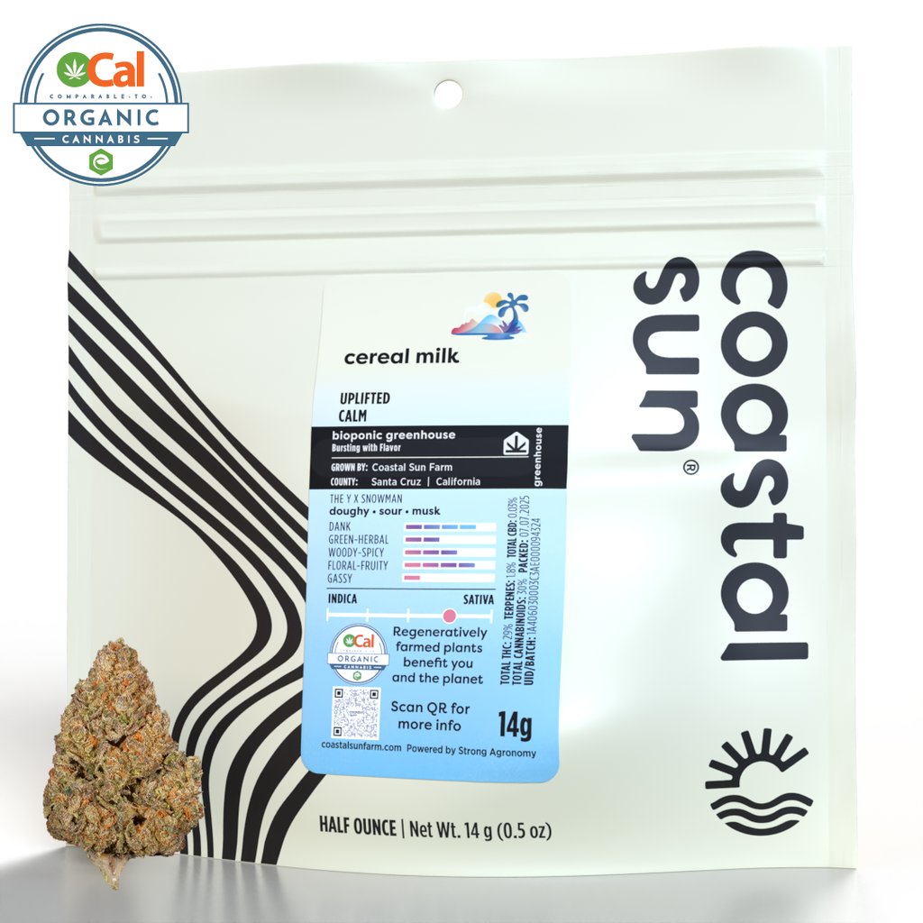 Coastal Sun: Cereal Milk