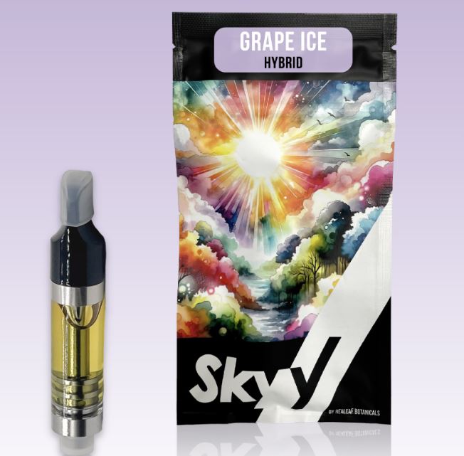 skyy disposable vape Burger Boy - 45µ-189µ - 0.5g Disposable Live Rosin Cart