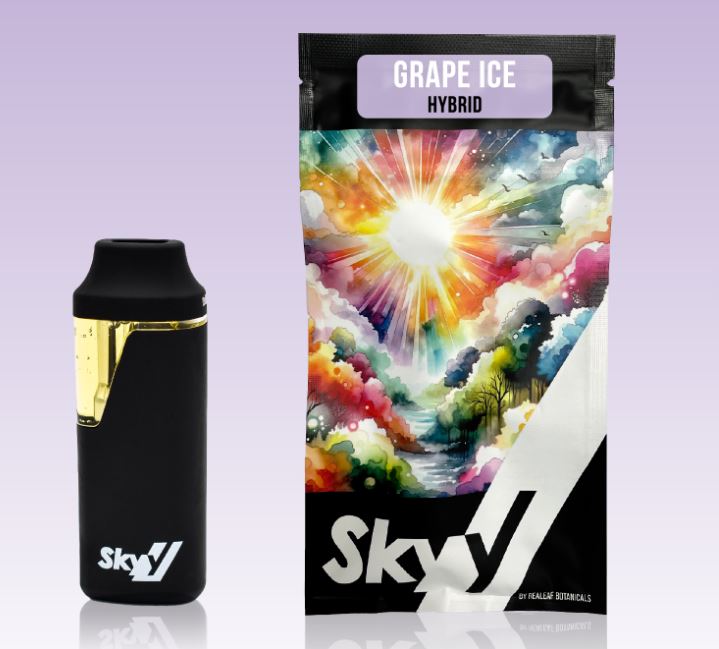 Buy Grape Ice 2g Disposable online - Aroma Hill Kankakee | Kankakee