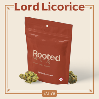 Lord Licorice Rooted