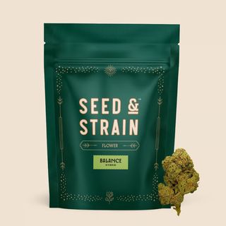 Orangutan T Seed & Strain