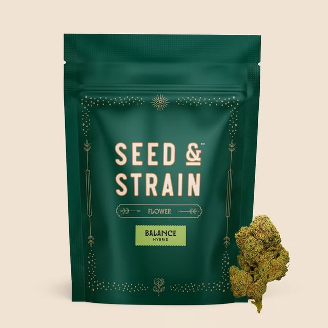 Orangutan T Seed & Strain