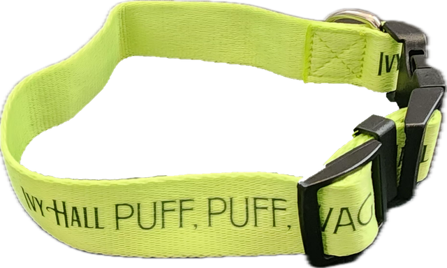 Dog Collar Ivy Hall