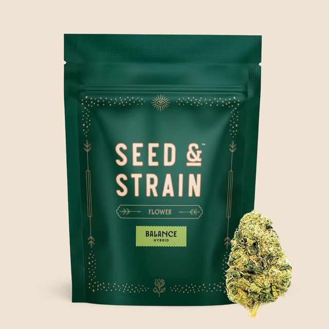 Crotch Rocket Seed & Strain