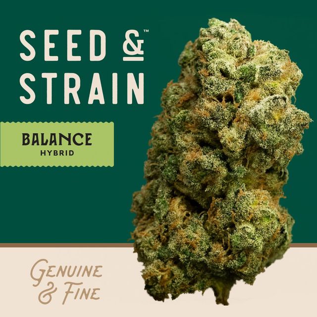 Kandy Jack Seed & Strain Kandy Jack Seed & Strain