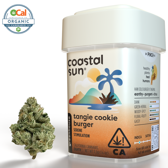 Tangie Cookie Burger Coastal Sun