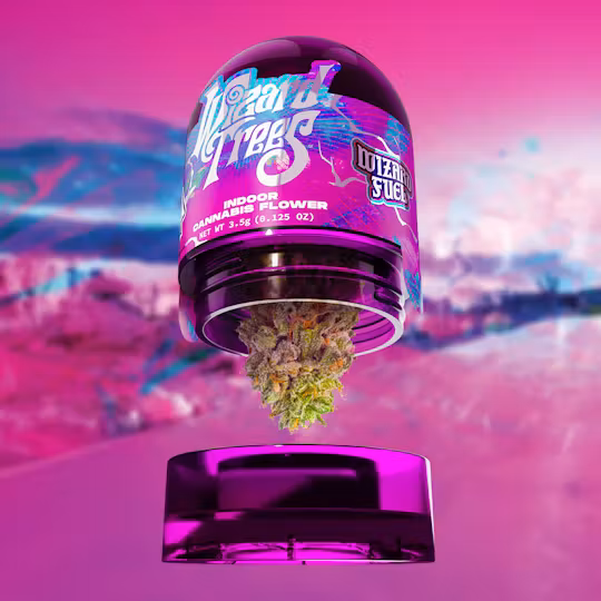 Wizard Trees Wizard Fuel 3.5g Flower