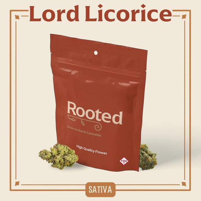 Lord Licorice Rooted