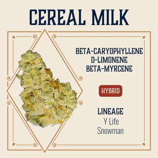 Cereal Milk Elevate