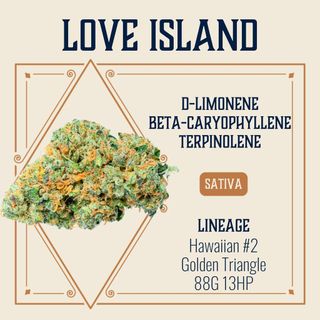 Love Island Elevate