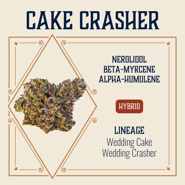 Cake Crasher Elevate