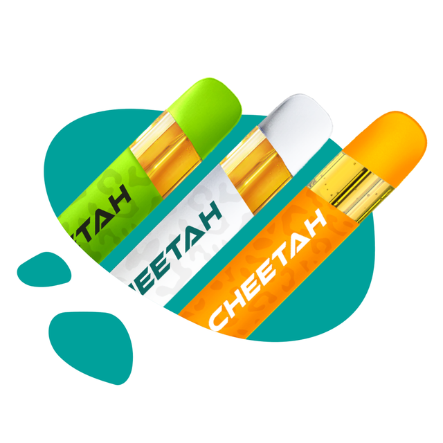 Horchata Cheetah Horchata Cheetah