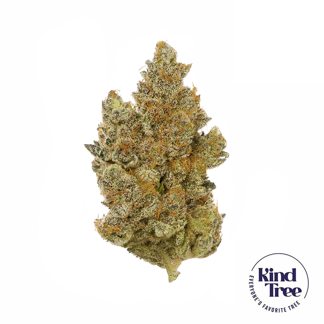 Palisades Mint Kind Tree