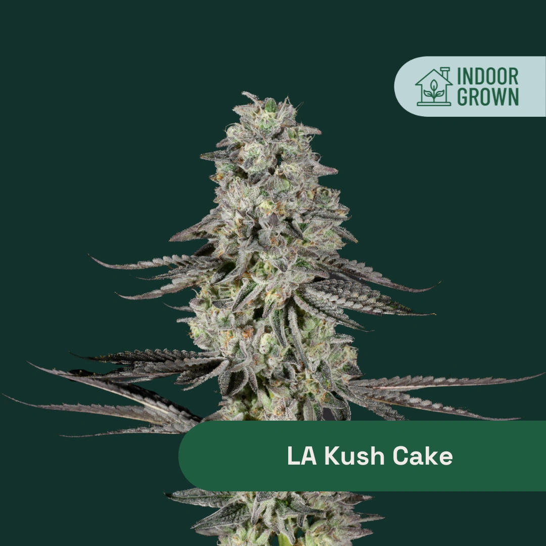 LA Kush Cake The Botanist