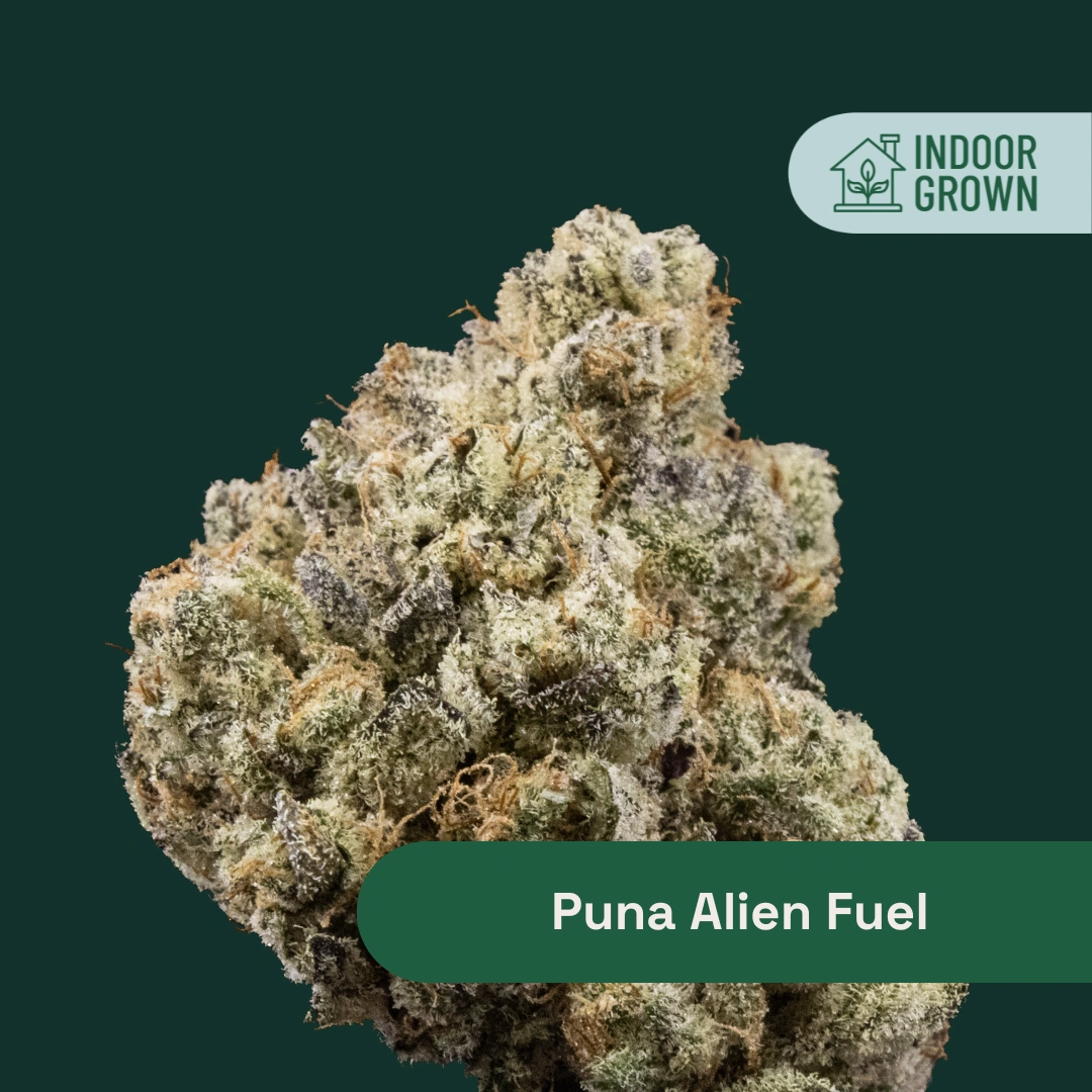 Puna Alien Fuel