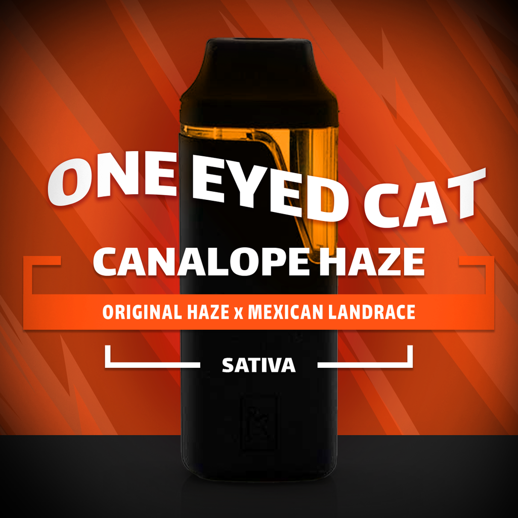 Cannalope Haze