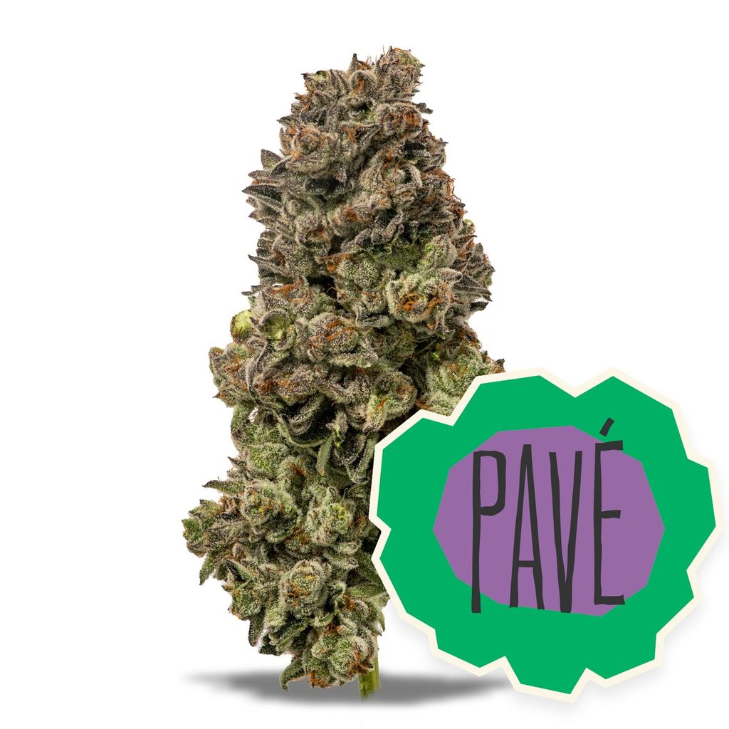 Pave