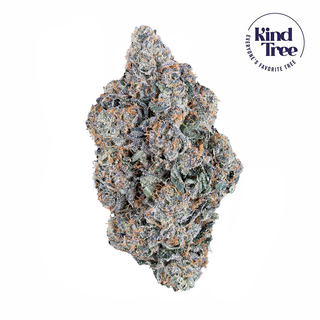 BKD Alaska  Kind Tree
