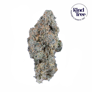 Durban Poison Kind Tree