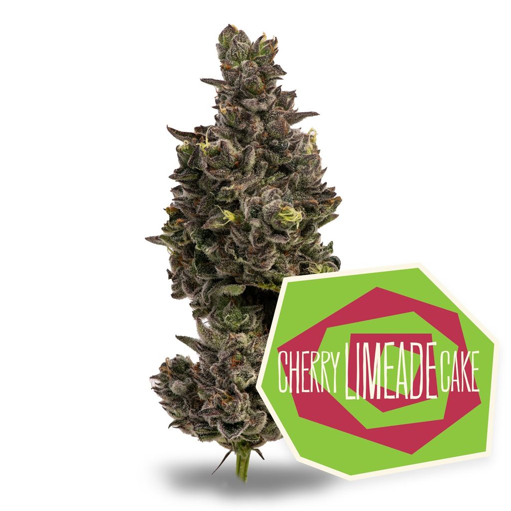 District Cannabis Cherry Limeade Cake 3.5g Flower