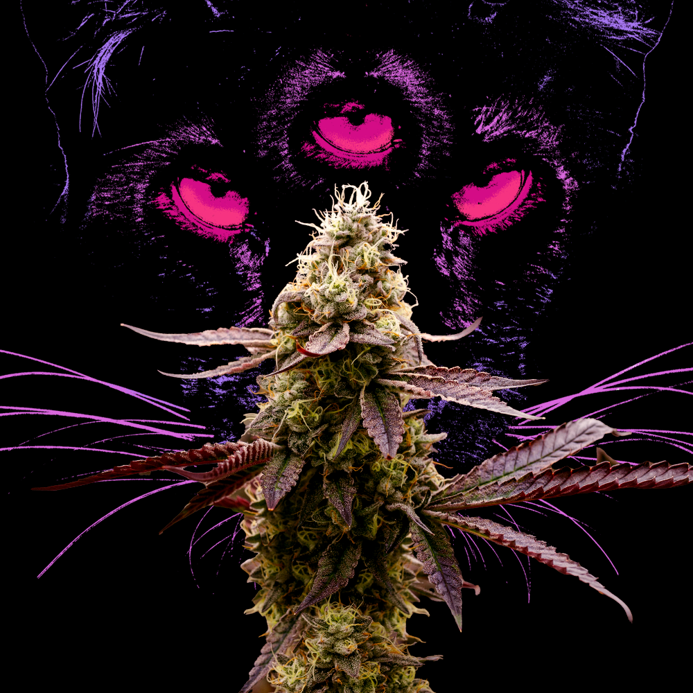 RYTHM Animal Face Flower, 3.5g - image 3