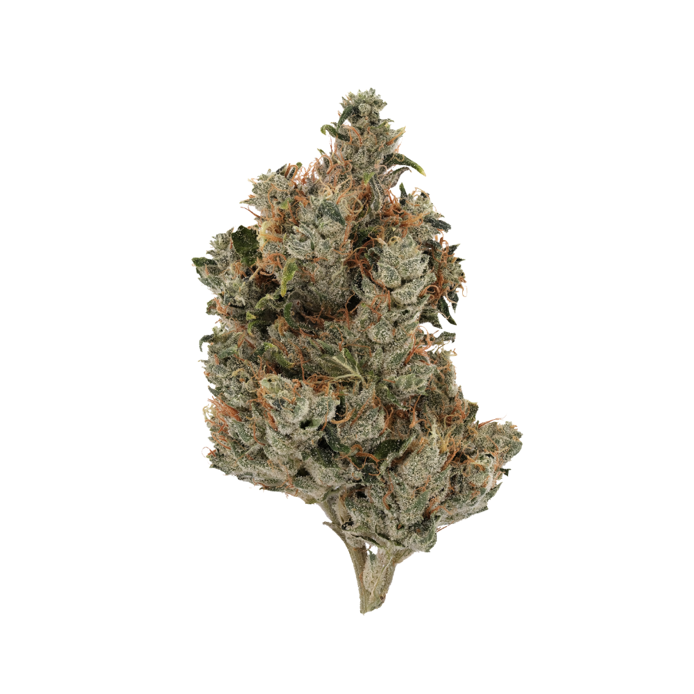 Verano Reserve Motorbreath Flower, 3.5g - image 2