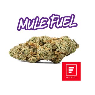Mule Fuel product