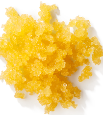 Black Cherry Gelato | Live Sugar 1g