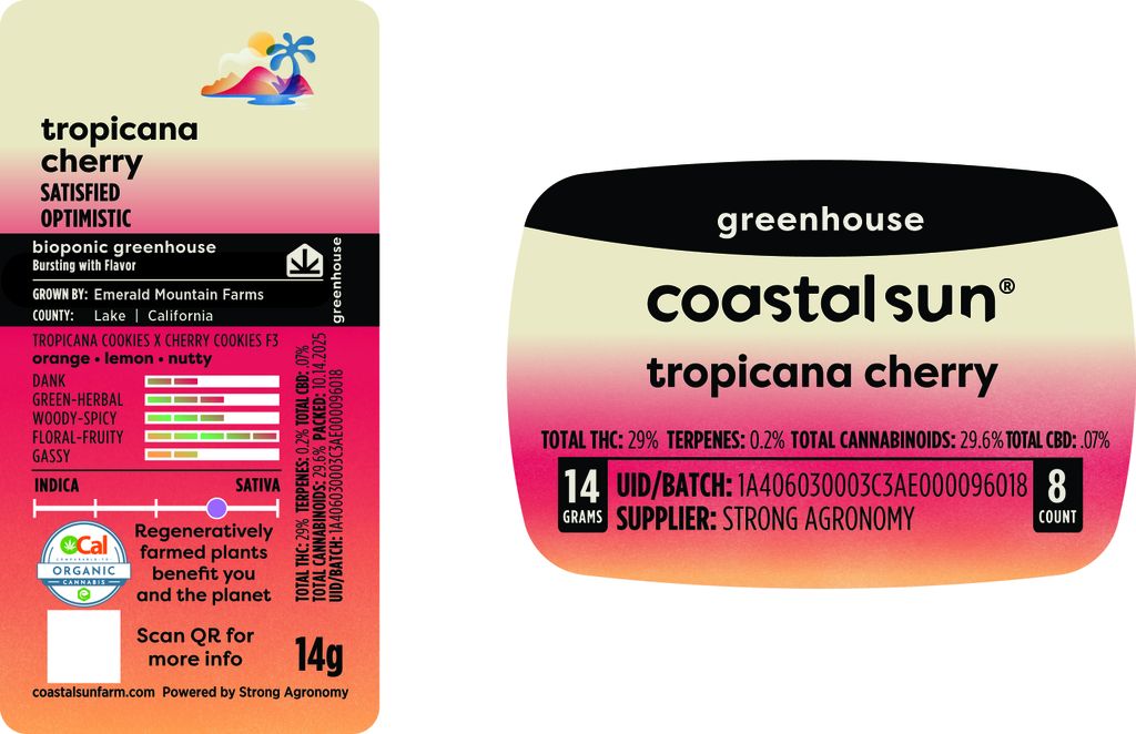 Tropicana Cherry