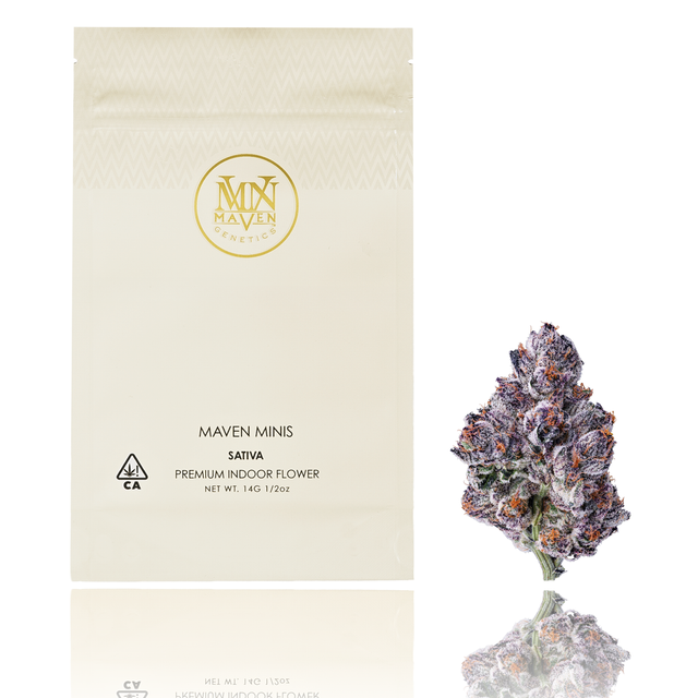 Chrome Dome Maven Genetics