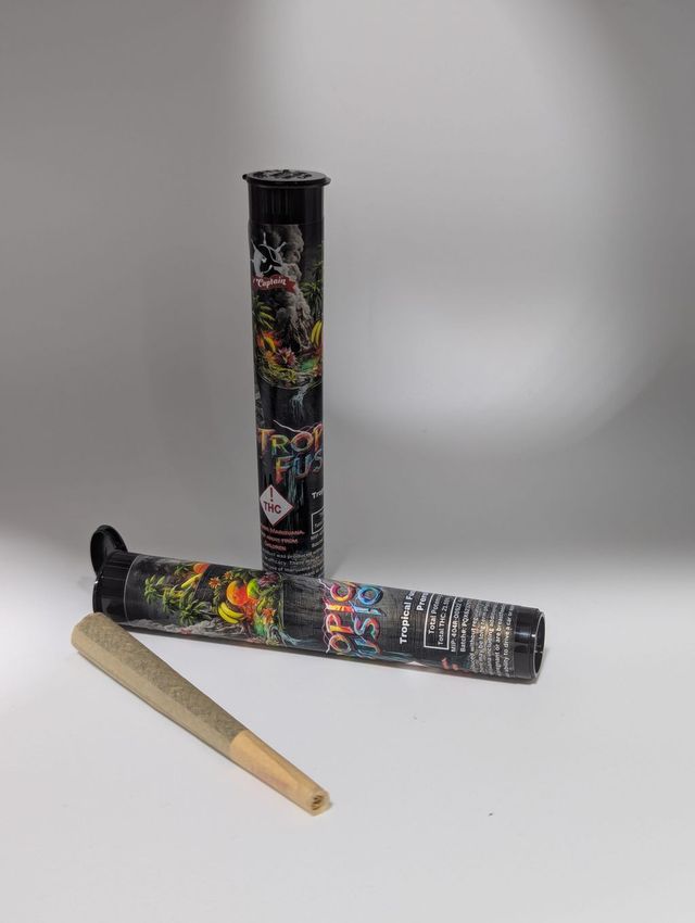 Tropical Fusion Preroll Captain
