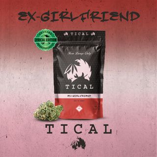 Grand Master Sexy Tical
