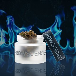 Prickly Pear Grow Sciences