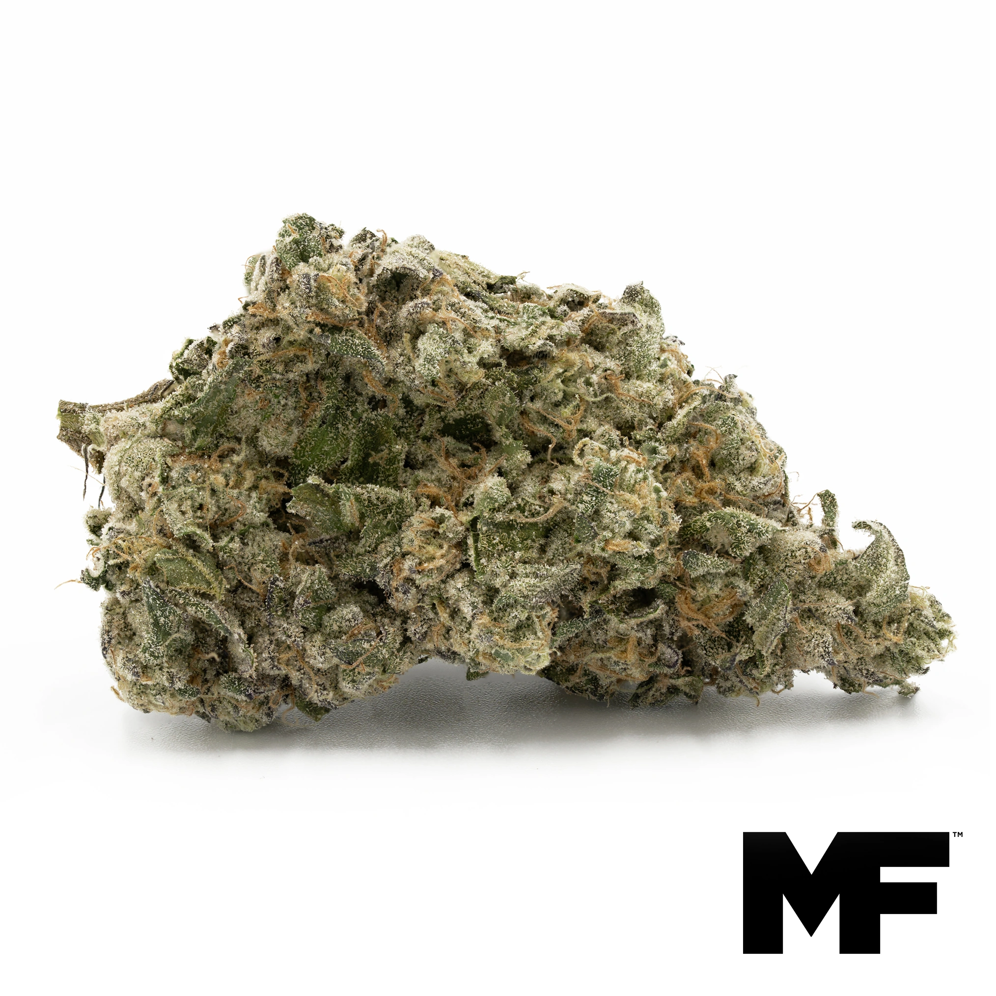 Gush Mints Modern Flower