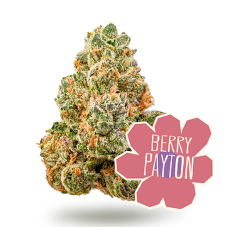 Berry Payton District Cannabis