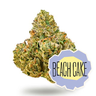 Beach Cake District Cannabis