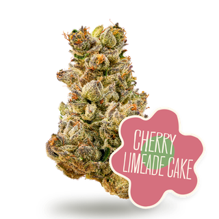 Cherry Limeade Cake District Cannabis