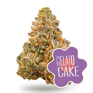 Gelato Cake District Cannabis