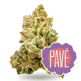 Pave District Cannabis