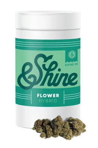 Citrus Bliss &Shine