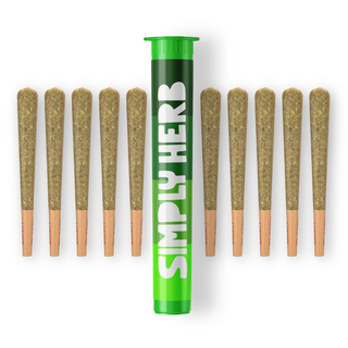 Gush Mints 10 Simply Herb