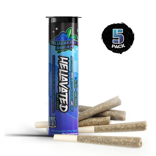 Blueberry Dream