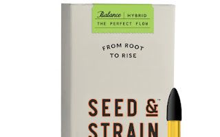 Hybrid Seed & Strain