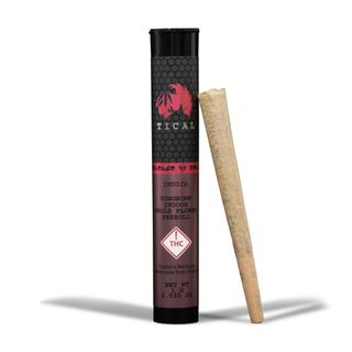 Release Yo Delf Preroll Tical